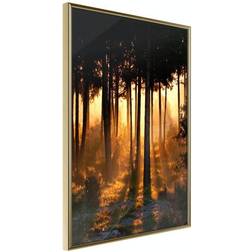 Arkiio Affisch Honey Forest [Poster] 20x30 Poster